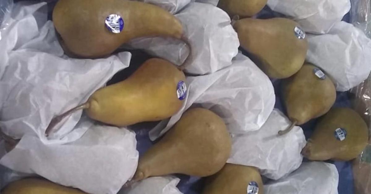 Argentine Pears