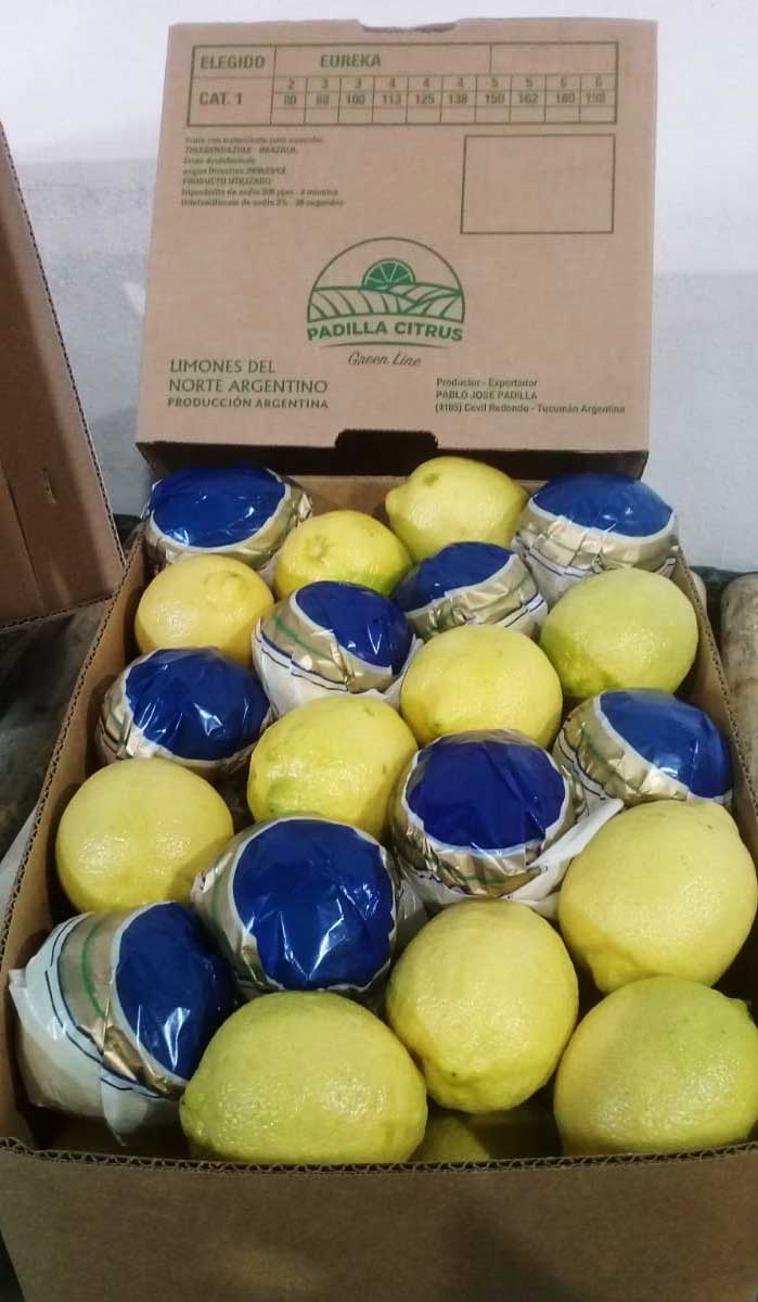 Argentine Lemon